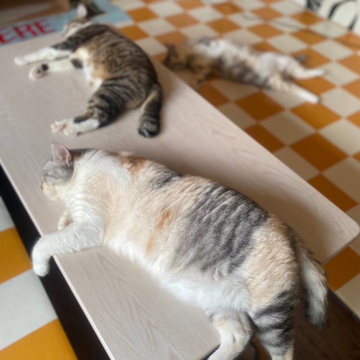 C5f0df28 de0c 4d28 a1f4 891fe4542af0 1726024491449