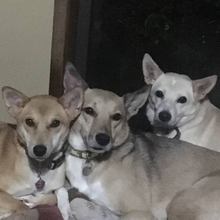 C5f11f7e 1874 460d 87b8 d86b67b1f7b6 1508172281760