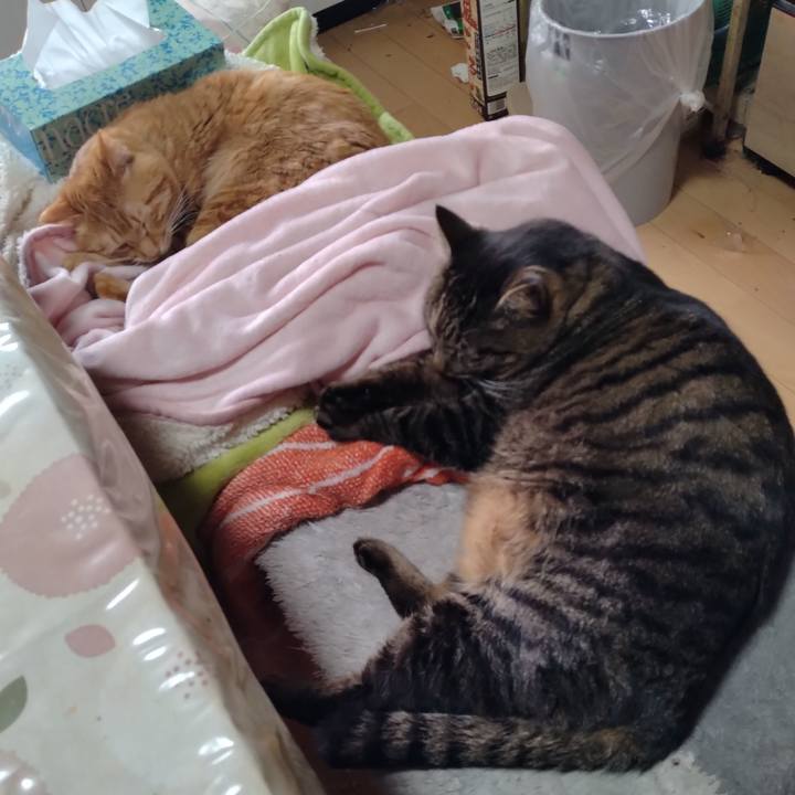 C5f1356d 3ced 4132 bac5 0fdba7cdfe5e 1676972983816