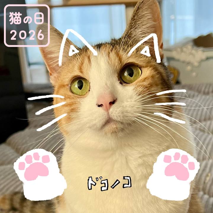 C5f137c0 efd8 4600 a835 5ee0a4ca9d30 1771730726083