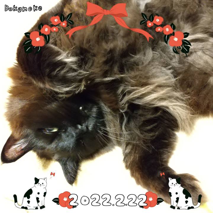 C5f1a6da b24e 477a 98ed 75c4a2541a03 1645490115181