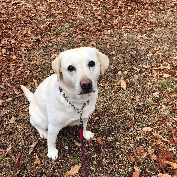 C5f1b865 b53e 49eb 9317 5a78994c9f82 1646715656184