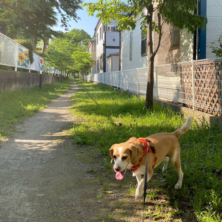 C5f1cbef 7095 4864 8ac2 d49fbcdcaf1b 1653018315326