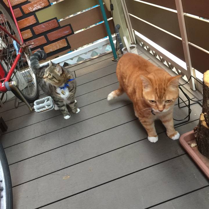 C5f1f2ac c098 46a7 abae 35797d66a810 1554540358450