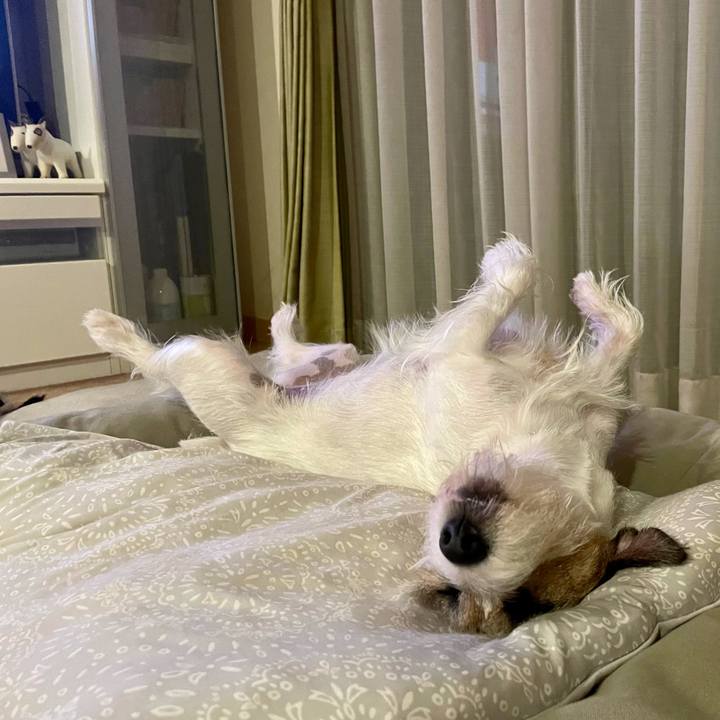 C5f209f7 1b2c 488c b2ab 8af391aa47b9 1629556494733