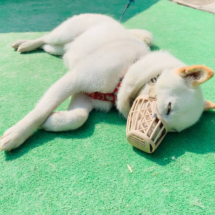 C5f20d8d dd1d 4a92 a5b8 9230d139c2d4 1563046278466