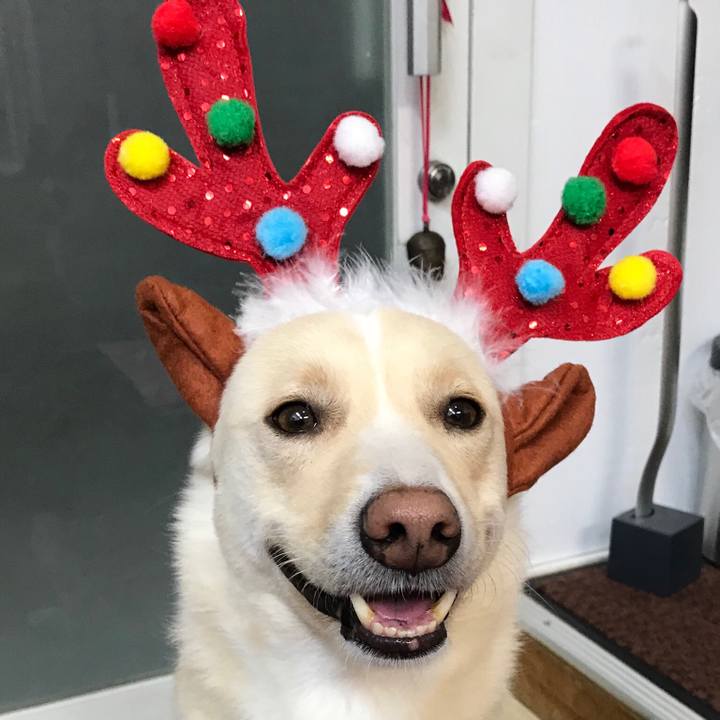 C5f2107e 4161 4cc1 b5d6 6fbc8e67f006 1512017626581