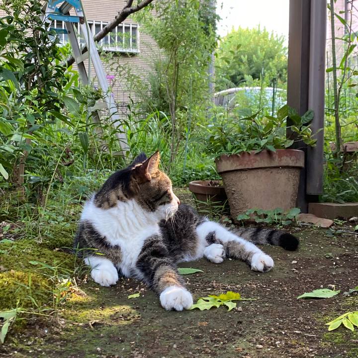 C5f23dd9 9d4e 449f aea7 4e498570bef0 1660652370211