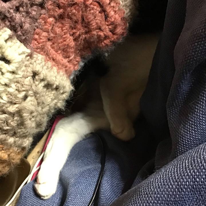 C5f23fea d011 49c2 bc27 ec163cda9d1b 1741259049969