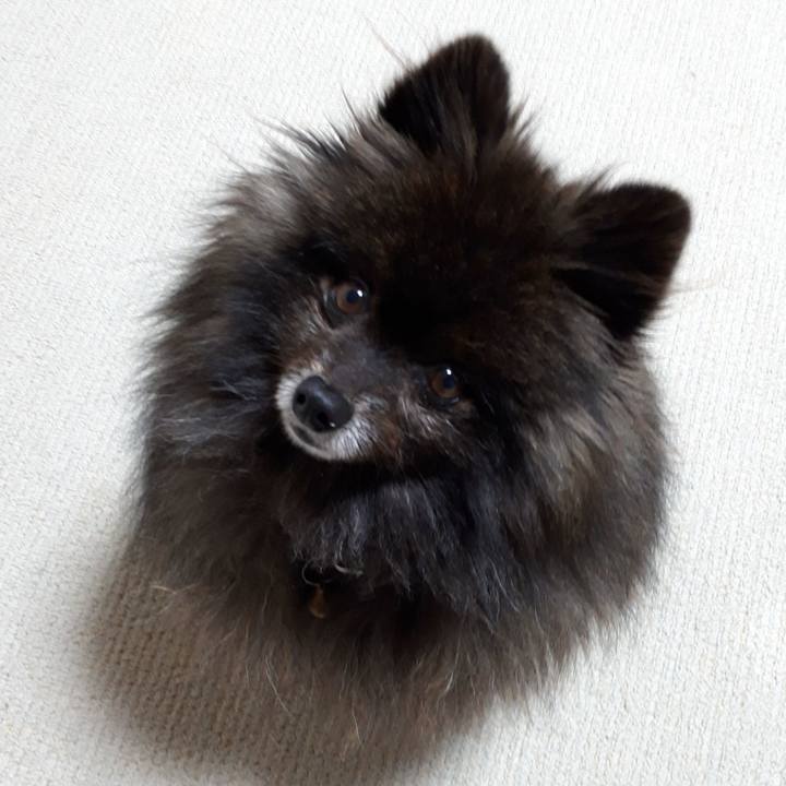 C5f24c0e b194 49cb b683 25f636288937 1518117391077