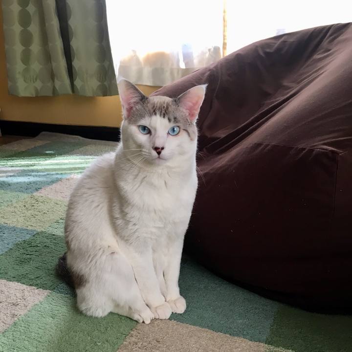 C5f27522 a599 40d3 9664 632bdb2e8ad7 1548988084349