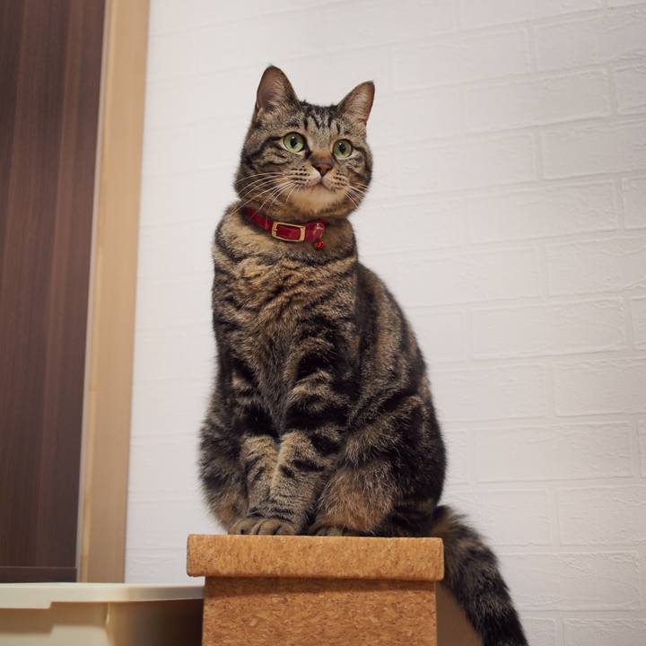 C5f27ad1 43fe 4644 adb2 257a5cc25f8d 1590489787527