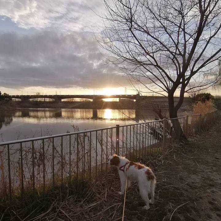 C5f27b38 a81a 4cdf 94e9 b8f490b570eb 1614600290352