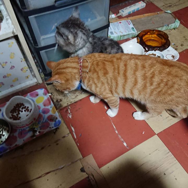 C5f28fe1 eafb 4eef 9bad a1323ef76e14 1565985145065