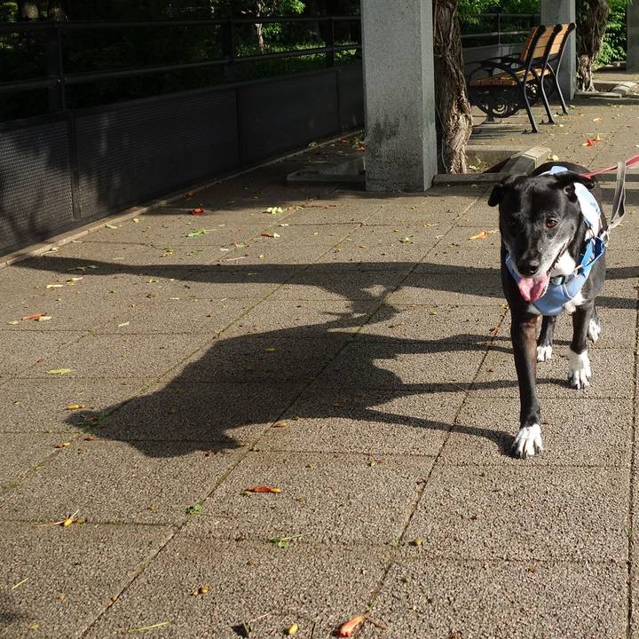 C5f29faa 7f4f 4733 9bae 04daf273f3b4 1750204891983