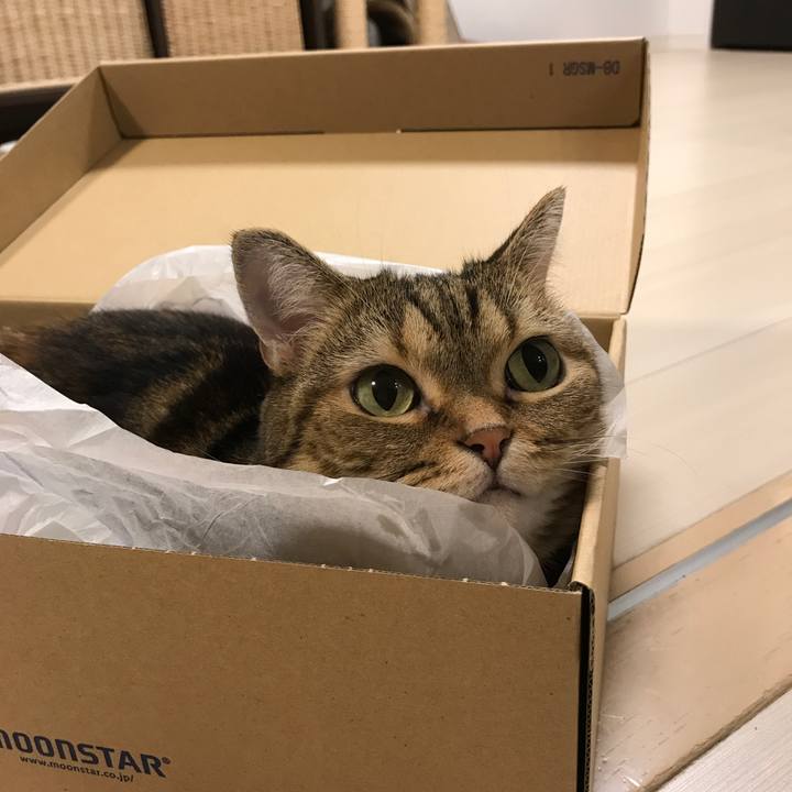 C5f2a9aa abc4 4515 b5f3 80506502a7d1 1539004152154