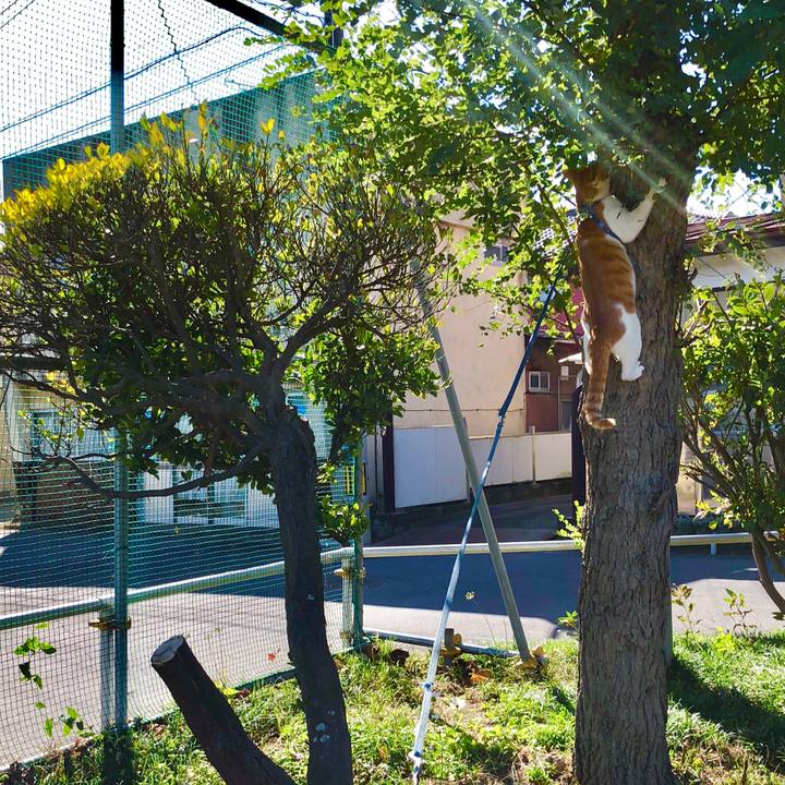 C5f2bafe 395e 4b49 b4fa a6abbe8814f0 1538968883786