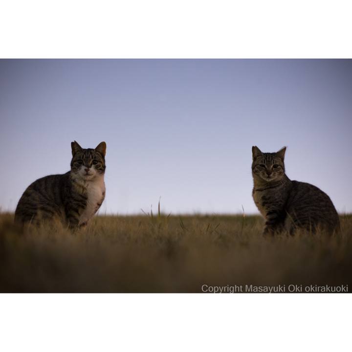 C5f2dedd 3eda 4d4c 9120 81c29b2739b7 1521076782193