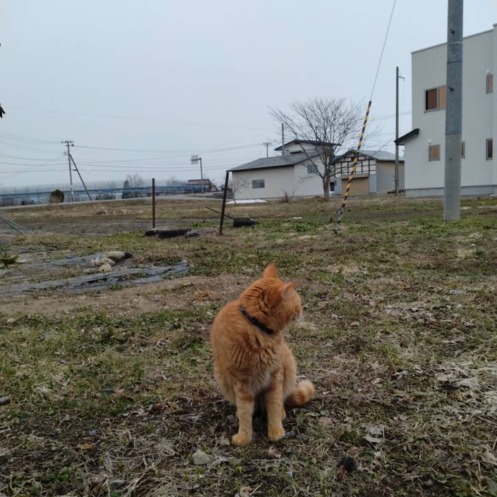 C5f2edb1 8983 44d4 b3a3 b68efc9a127f 1679091337464