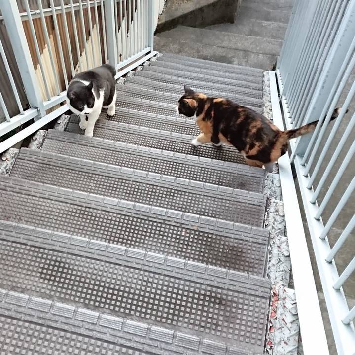 C5f30d39 9a80 4693 9c80 07fa5668f34e 1668137111119