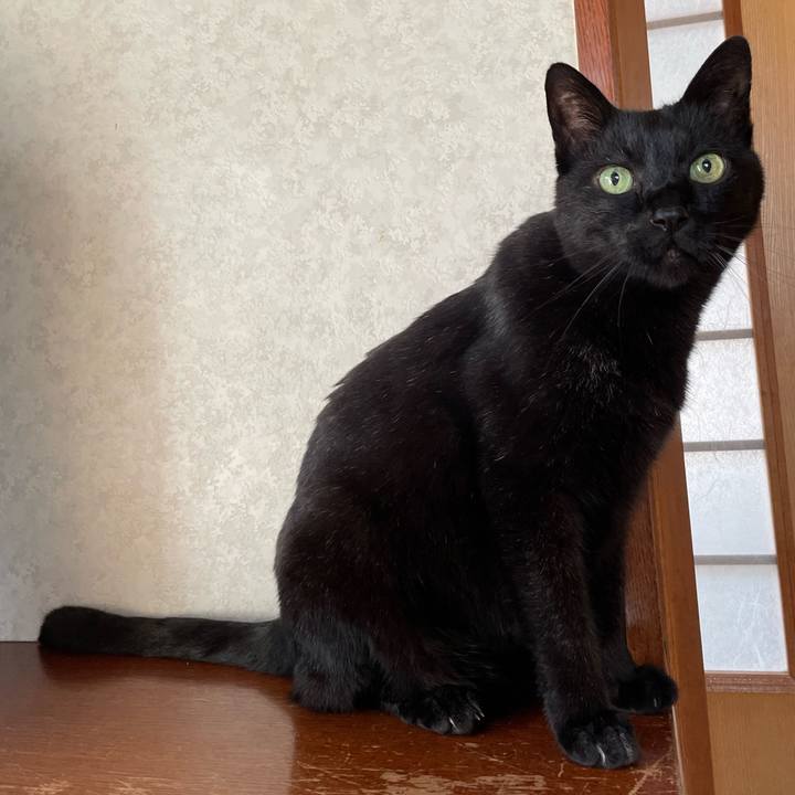 C5f33395 cd18 4b66 8091 65def45fe967 1655427465408