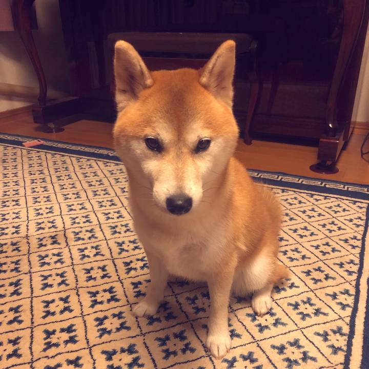 C5f34a6b a0c6 4de0 a1d4 0f990ab8da77 1548339165663