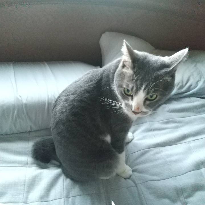 C5f34e15 bd2f 4100 82c6 866804418dc0 1640128956872