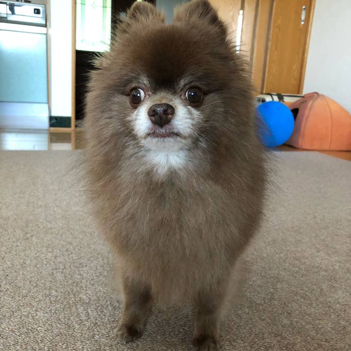 C5f358e7 b14e 4afa b763 25b42bf2827b 1594712023810