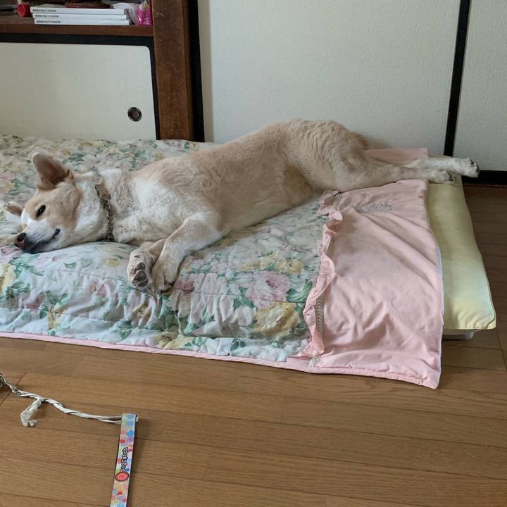 C5f37683 ca0a 4367 aac6 31c55b1bad19 1568536992748