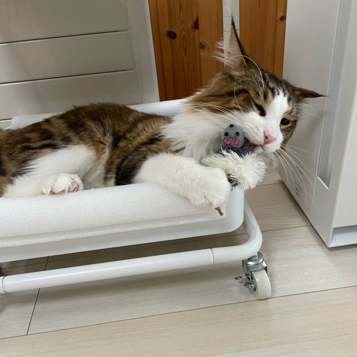 C5f3ccbf b81d 4468 a7ad 80846013cc43 1663796235216