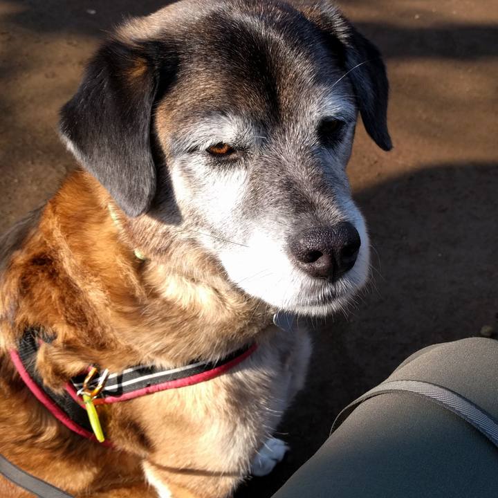 C5f3dcc2 d2fd 48c9 bb6c 9263cf87a40d 1551744426793