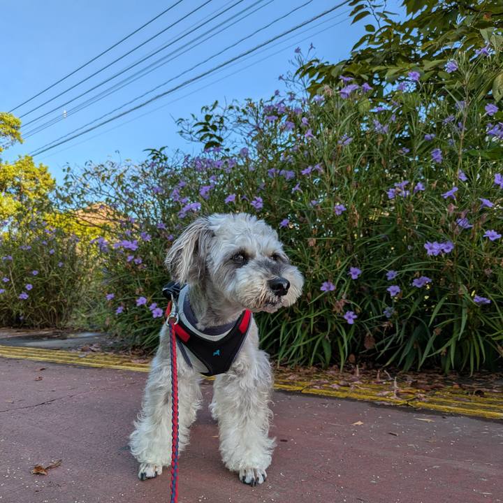 C5f3fb70 847c 4ed8 9ba8 5c034b082f8c 1757124150221