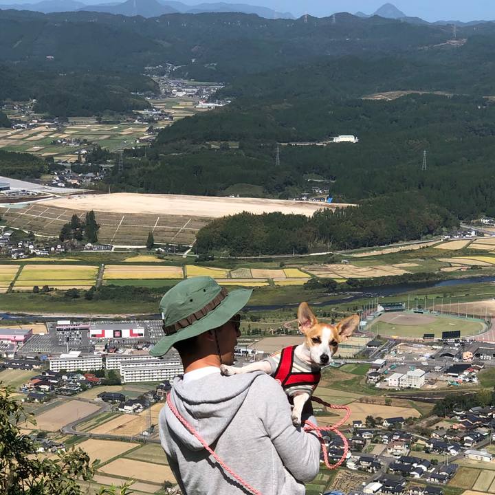 C5f41220 41a1 4edf ba6d ad773ad98d64 1571065817144