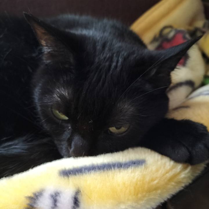 C5f4239d 0854 4ccb a919 4da0325e1c8d 1658186375092