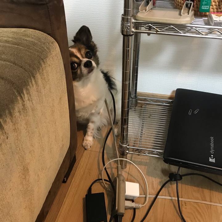 C5f45222 058d 4f90 8472 f30f6e49a5f0 1599224763868