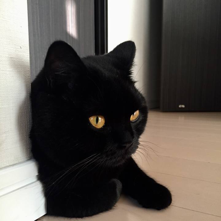 C5f458f2 9474 479c bf6f 33b4e25e6f61 1531987985225