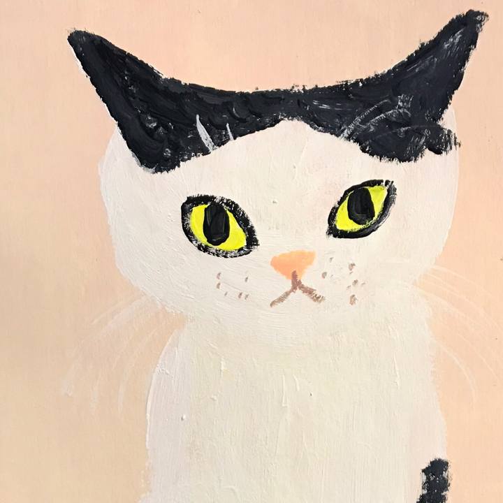 C5f4b97c 1812 4a99 be24 d04af8362472 1549117348153