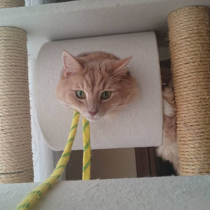 C5f4d01f 3154 4a40 bc79 ae82ad8ec5fe 1512364234824