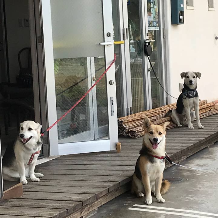 C5f4d729 bb7b 47ae 8d17 3bfcda39ed7e 1524843899335