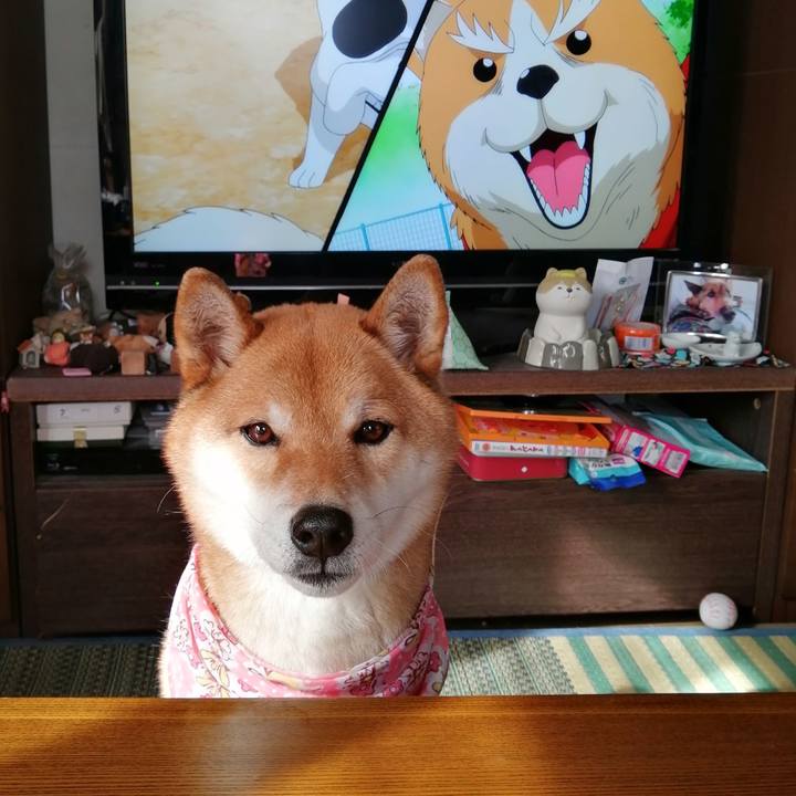 C5f4f782 03cf 4857 815e d5364c3d5379 1581740469279