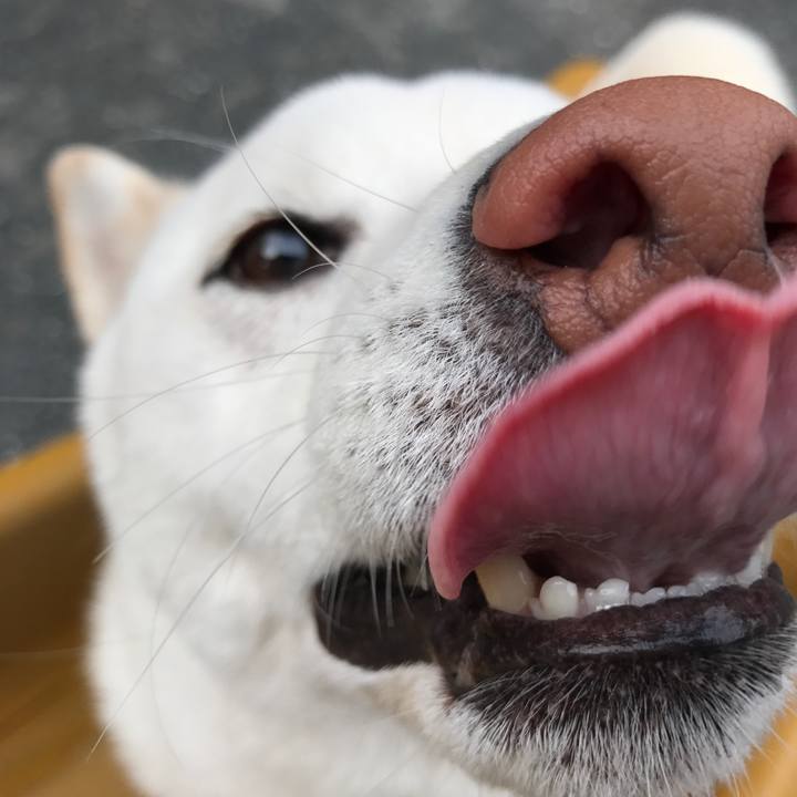 C5f4fdb1 582f 4f25 a80c 862d2804e256 1523417766056