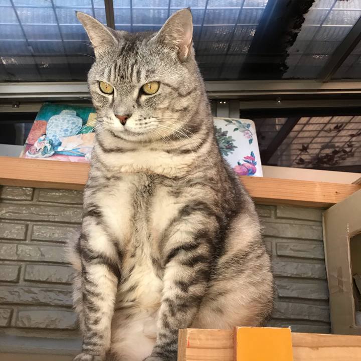 C5f54d37 04e5 4752 b074 de38151c2c78 1578278429075