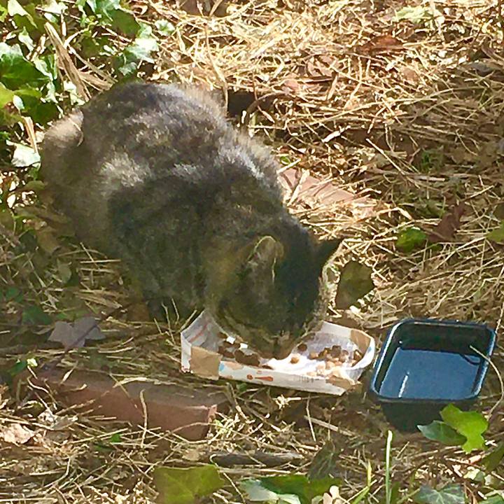 C5f554f8 5915 423f 8777 adae7a2200d1 1615960784685