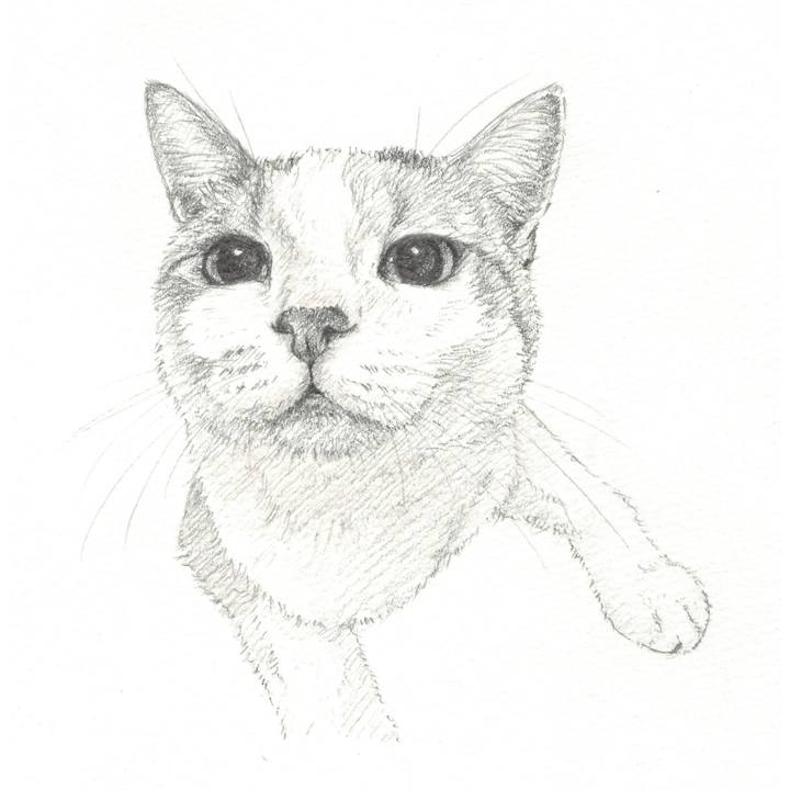 C5f5557b cb77 4044 9d99 192c937742ba 1564666400917