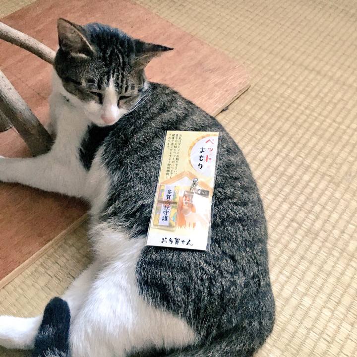 C5f57798 aaae 4ed5 ba85 a1264d217c3b 1535178681116