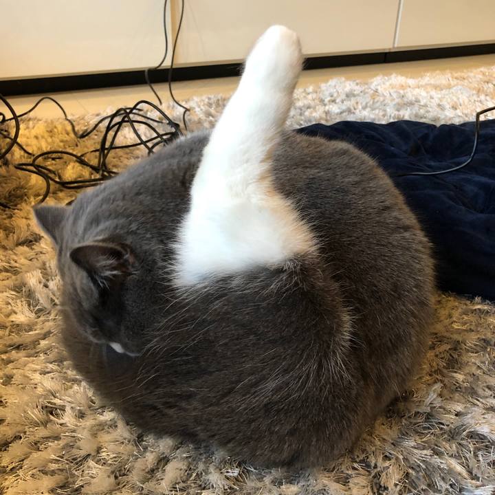 C5f58d64 7d7f 450c 94e9 7403d27a121f 1546414784033