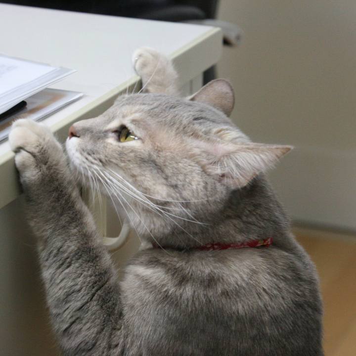 C5f5cde4 8fd9 484c 9b9c aacc2cf5fe45 1513248747054