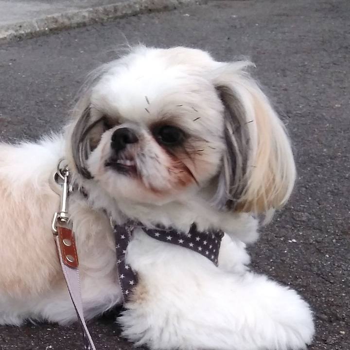 C5f5d1c3 2aca 4aea 8d51 9eeb70f78b66 1561000574662