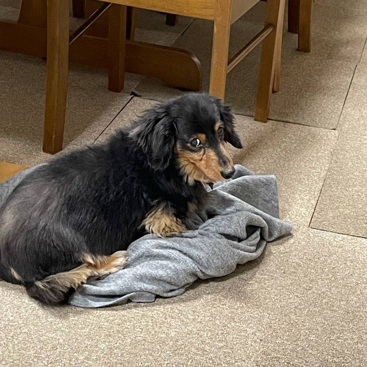 C5f5d952 feac 4c11 a99e 9adef2698eed 1638877883016