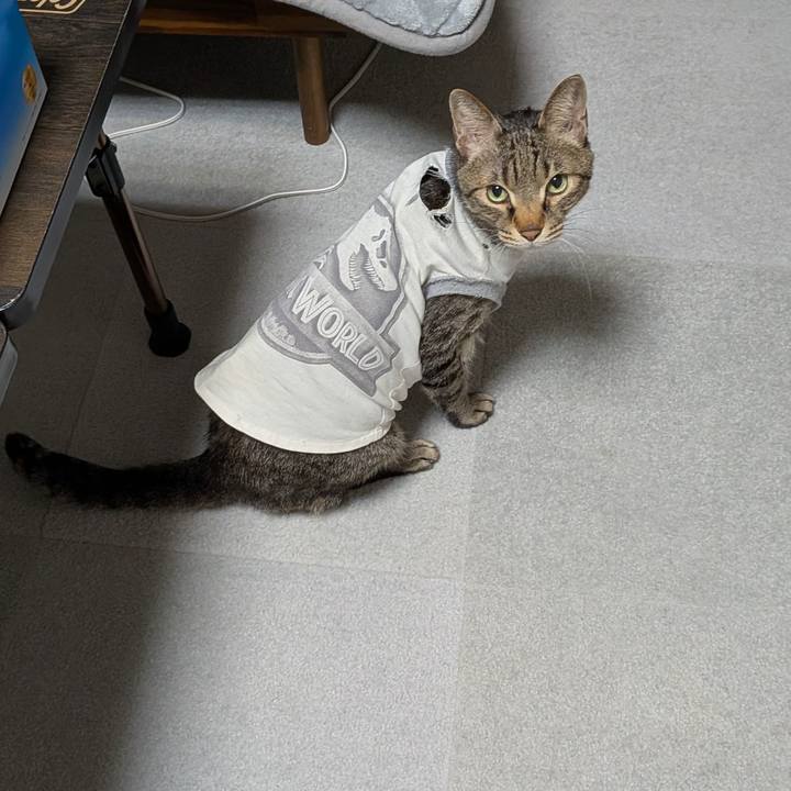 C5f5eb34 1d86 4ac5 8041 13299f3a6ea0 1771343782035